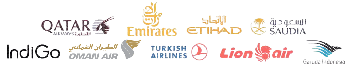 logo_flight